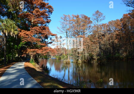 Scena di caduta lungo lago Greenfield in Wilmington North Carolina. Foto Stock