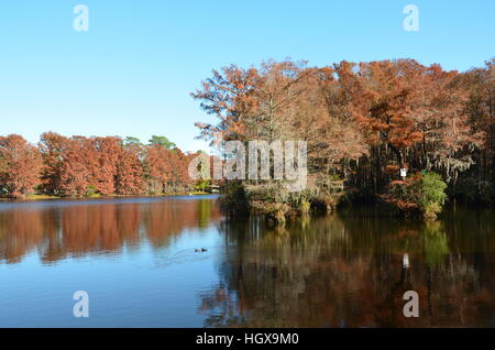Scena di caduta lungo lago Greenfield in Wilmington North Carolina. Foto Stock