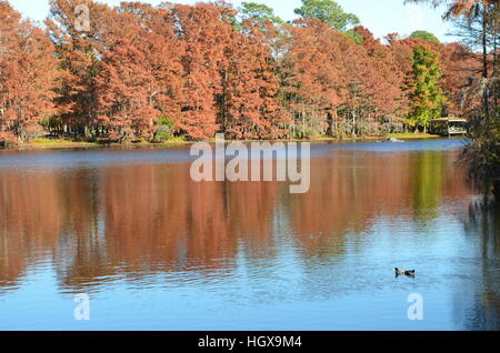Scena di caduta lungo lago Greenfield in Wilmington North Carolina. Foto Stock