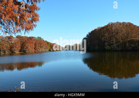 Scena di caduta lungo lago Greenfield in Wilmington North Carolina. Foto Stock