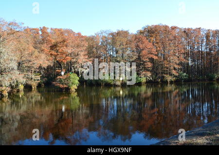 Scena di caduta lungo lago Greenfield in Wilmington North Carolina. Foto Stock