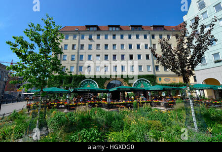 Georgbraeu, Propststrasse, Nikolaiviertel, Mitte di Berlino, Deutschland Foto Stock