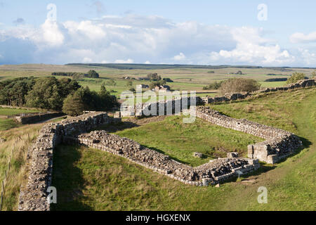 Il Vallo di Adriano: Milecastle 42 a Cawfield Foto Stock