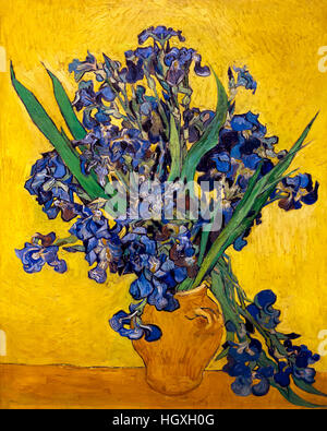 Iridi di Vincent van Gogh, 1890, olio su tela, Paesi Bassi, Europa Foto Stock