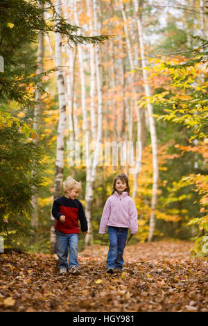 Un giovane fratello e sorella (di età compresa tra 4 e 6) Escursione sulla Lincoln Woods Trail nel New Hampshire White Mountain National Forest. Foto Stock