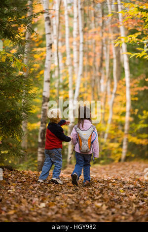 Un giovane fratello e sorella (di età compresa tra 4 e 6) Escursione sulla Lincoln Woods Trail nel New Hampshire White Mountain National Forest. Foto Stock