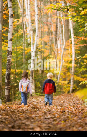 Un giovane fratello e sorella (di età compresa tra 4 e 6) Escursione sulla Lincoln Woods Trail nel New Hampshire White Mountain National Forest. Foto Stock