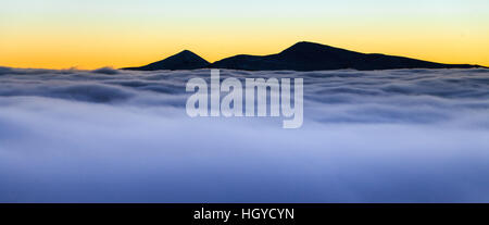 Snovy alberi sulle montagne d'inverno. Foto Stock