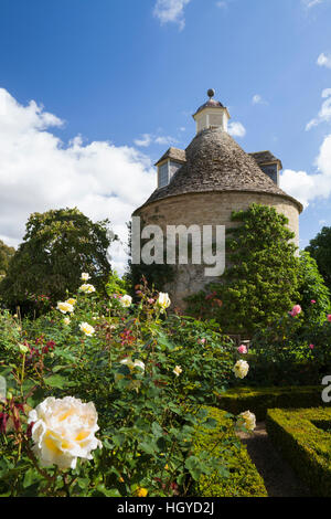 Le rose e il XVII secolo colombaia nel parterre di rose, parte del giardino murato di Rousham House in Oxfordshire, Inghilterra Foto Stock