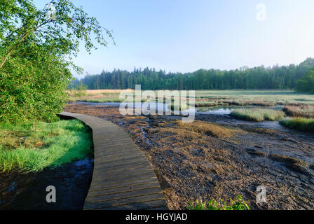 Frantiskovy Lazne (Franzensbad): moor nella riserva naturale SOOS - Egerland, , Karlovarsky, Karlsbader Regione, Regione di Karlovy Vary, ceco Foto Stock