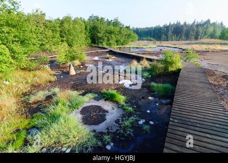 Frantiskovy Lazne (Franzensbad): Moor nella riserva naturale SOOS con mofetta - Egerland, , Karlovarsky, Karlsbader Regione, Regione di Karlovy Vary, ceco Foto Stock