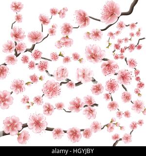 Set di sakura giappone ramo di ciliegio. EPS 10 Illustrazione Vettoriale