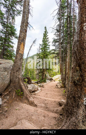 Una scalinata di pietra in foreste di montagna. Foto Stock