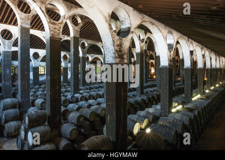 Impilati botti di rovere in cantina La Catedral, cantina Bodega Barbadillo, Sanlucar de Barrameda, la provincia di Cadiz Cadice, Andalusia Foto Stock