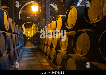 Impilati botti di rovere nella cantina, cantina Fundador Bodega Pedro Domecq, Jerez de la Frontera, la provincia di Cadiz Cadice, Andalusia Foto Stock