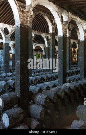 Impilati botti di rovere in cantina La Catedral, cantina Bodega Barbadillo, Sanlucar de Barrameda, la provincia di Cadiz Cadice, Andalusia Foto Stock