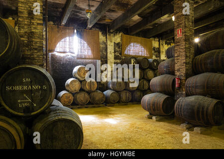 Impilati botti di rovere in cantina, cantina Bodega Gonzales Byass, Jerez de la Frontera, la provincia di Cadiz Cadice, Andalusia, Spagna Foto Stock