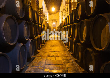 Impilati botti di rovere nella cantina, cantina Fundador Bodega Pedro Domecq, Jerez de la Frontera, la provincia di Cadiz Cadice, Andalusia Foto Stock
