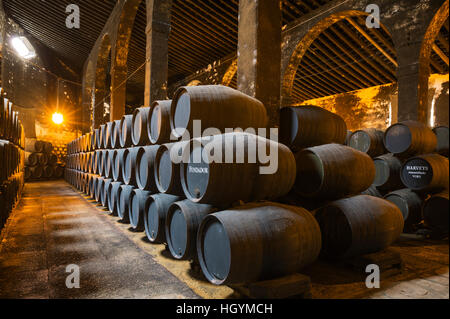 Impilati botti di rovere nella cantina, cantina Fundador Bodega Pedro Domecq, Jerez de la Frontera, la provincia di Cadiz Cadice, Andalusia Foto Stock