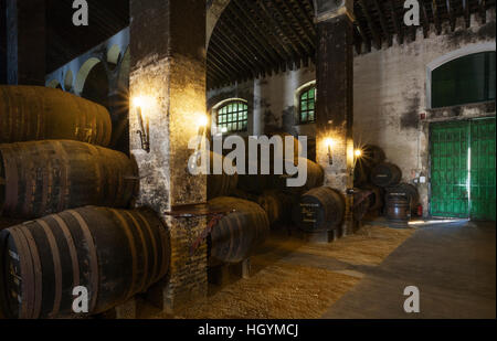 Impilati botti di rovere in cantina La Catedral, cantina Bodega Barbadillo, Sanlucar de Barrameda, la provincia di Cadiz Cadice, Andalusia Foto Stock