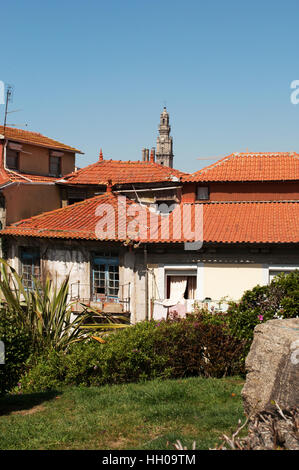 Porto, Portogallo: tetti rossi della città vecchia con vista della Torre dos Clerigos, una torre in pietra in stile barocco costruita tra il 1754 e il 1763 Foto Stock