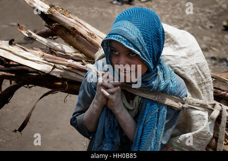 Luogo di mercato. Sbarcare. Simien Mountains. Nord dell'Etiopia. Una ragazza caricata con legna da ardere a sbarcare sul mercato. Sbarcare ha un paio di negozi e bancarelle dove Foto Stock