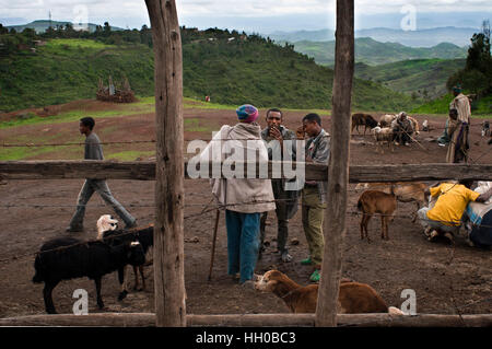 Lalibela mercato, Amhara Region, Etiopia. Nel mercato Lalibela è possibile ottenere qualcosa, animali, vestiti, cibo, ecc. In un luogo separato, un open-air m Foto Stock