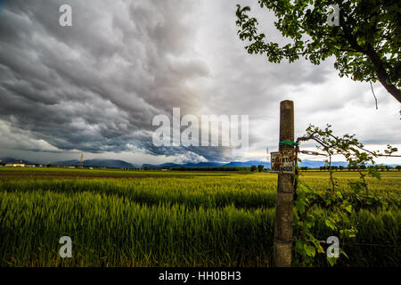 Una tempesta si growin fino oltre i campi di Italia Foto Stock