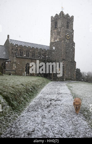 Una breve ma pesanti raffica di neve in Coddenham il 17 gennaio 2017 qui registrate nel sagrato. Foto Stock