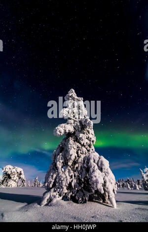 Luci del nord in riisitunturi national park, Finlandia Foto Stock