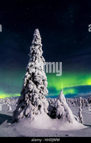 Luci del nord in riisitunturi national park, Finlandia Foto Stock