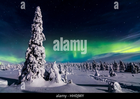 Northern lights in Riisitunturi national park, Finland Foto Stock