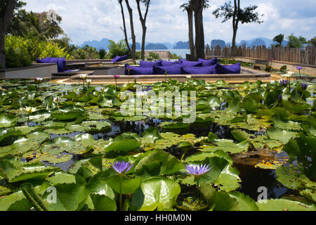 Six Senses Resort Koh Yao Noi, Phang Nga Bay, Thailandia, in Asia. Segni nel giardino. Six Senses Yao Noi imposta il più alto punto di riferimento per la Island Resort li Foto Stock