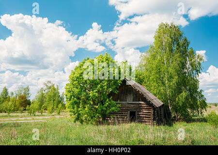 Abbandonato il piccolo paese di legno fortino in Area di esclusione dopo la catastrofe di Chernobyl contro lo sfondo della Scenic Rural Estate Landsc verde Foto Stock