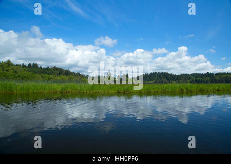 Beaver Creek, Brian stand Parco Statale, Oregon Foto Stock