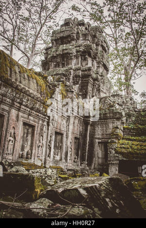 Uno dei Ta Promh templi di Angkor, Cambogia Foto Stock