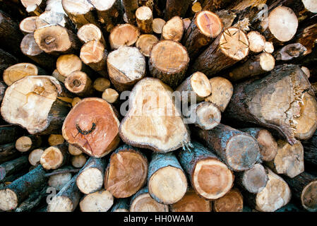 Impilati tagliare tronchi di legno in un inverno woodpile di dimensioni irregolari per il riscaldamento domestico e l'energia, full frame visualizzazione dello sfondo Foto Stock