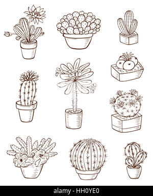 Set di varie houseplants su uno sfondo bianco. Disegnata a mano illustrazione. Foto Stock