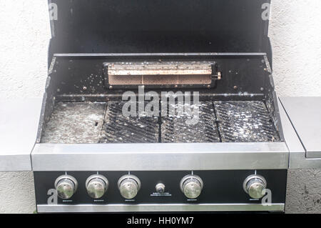 Stampo cresce su un barbecue a gas Foto Stock