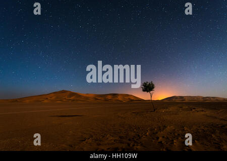 Le dune di Erg Chebbi in Marocco di notte in montagna con il cielo pieno di stelle Foto Stock