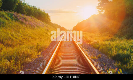 Il suggestivo panorama del paesaggio con stazione di andare dritto attraverso Estate Prato collinare al tramonto o l'alba in presenza di luce solare. Lente effetto flare. Foto Stock