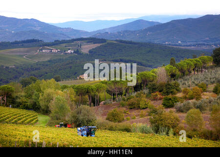 New Holland Vendemmiatrice al lavoro nei vigneti intorno a San Casciano in Val di Pesa in Toscana, Italia. Foto Stock