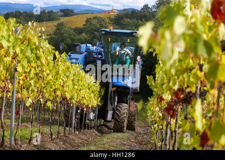 New Holland Vendemmiatrice al lavoro nell'intorno a San Casciano in Val di Pesa in Toscana, Italia. Foto Stock