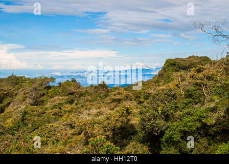 Colline in Cameron Highlands in presenza di luce solare, Malaysia Foto Stock