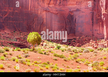 Sabbia del deserto rosso con montagne di pietra Foto Stock