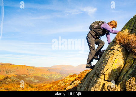 Scrambling donna alta sulla rupe Raven sopra Yewdale vicino Hawkshead nel distretto del Lago Foto Stock