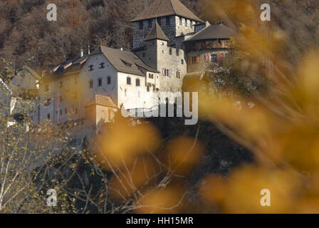 Il castello principesco di Liechtenstein VADUZ FL Foto Stock