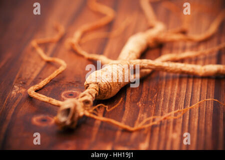 Il ginseng a secco su un sfondo di legno Foto Stock