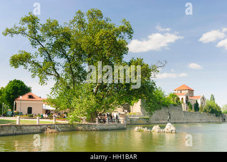 Tata: Vecchio Lago, Old Castle , Komarom-Esztergom, Ungheria Foto Stock
