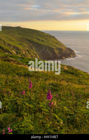 Il tramonto sopra il Cornish Coast presso Botallack Foto Stock